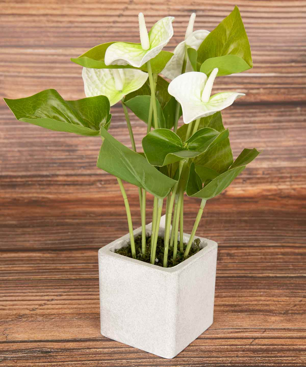 گلدان و گل مصنوعی دکو Deco مدل H01311033