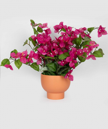 product-color