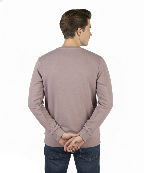 پلیور مردانه یو اس پولو مدل AM-USP-3271F1