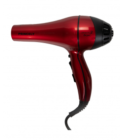 سشوار حرفه ای پرینسلی Princely مدل PR228AT