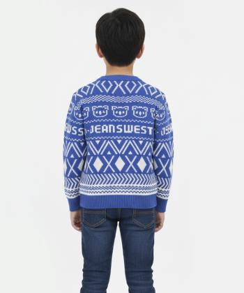 پلیور پسرانه جین وست مدل 44593503