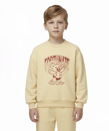 پلیور پسرانه جین وست مدل 24571505