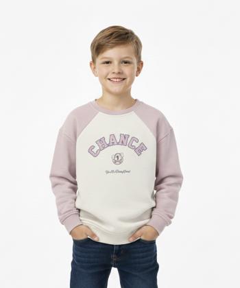 سویشرت  پسرانه جین وست مدل 43571602