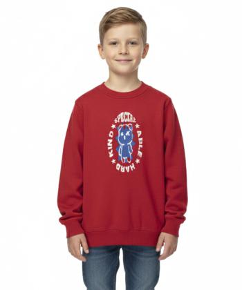 پلیور پسرانه جین وست مدل K24591504