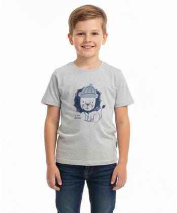 تیشرت پسرانه  پاتر خاص potterwearکد 121