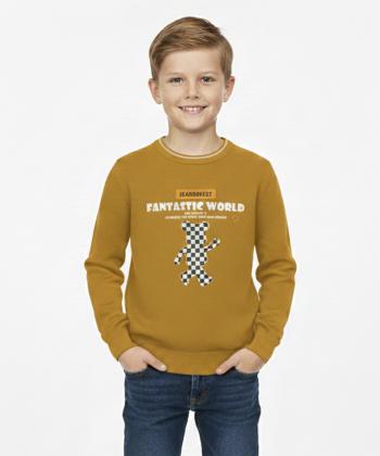 سویشرت پسرانه جین وست مدل 24571501