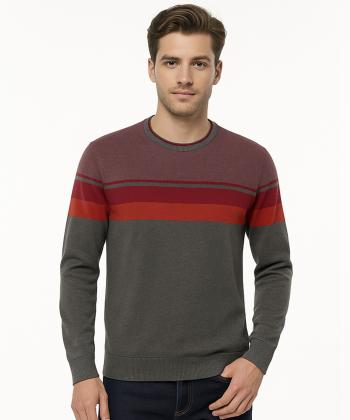 پلیور مردانه وینترهارت مدل M2064007ST