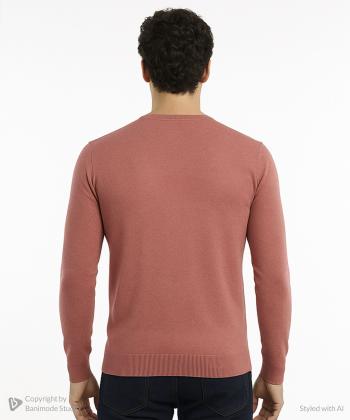 پلیور مردانه ادورا مدل 1903055