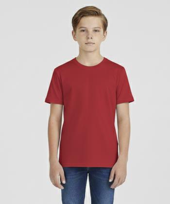 تیشرت پسرانه کوتون Koton کد 5SKB10020TK