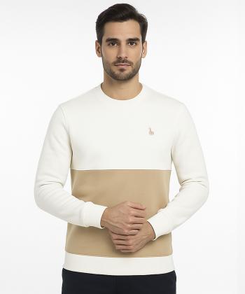 سویشرت مردانه آروما مدل 1125400