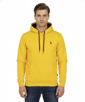 هودی مردانه آروما مدل 12001001