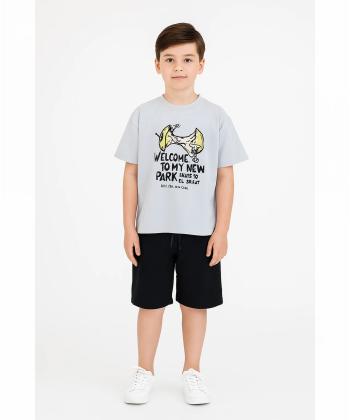 ست تیشرت و شلوارک راحتی پسرانه جی بی جو مدل 3153