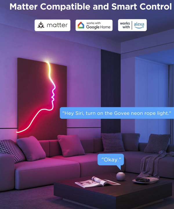 ریسه هوشمند نئون فلکسی 5 متری گووی مدل Govee Neon Rope Strip Light 2 H61D5