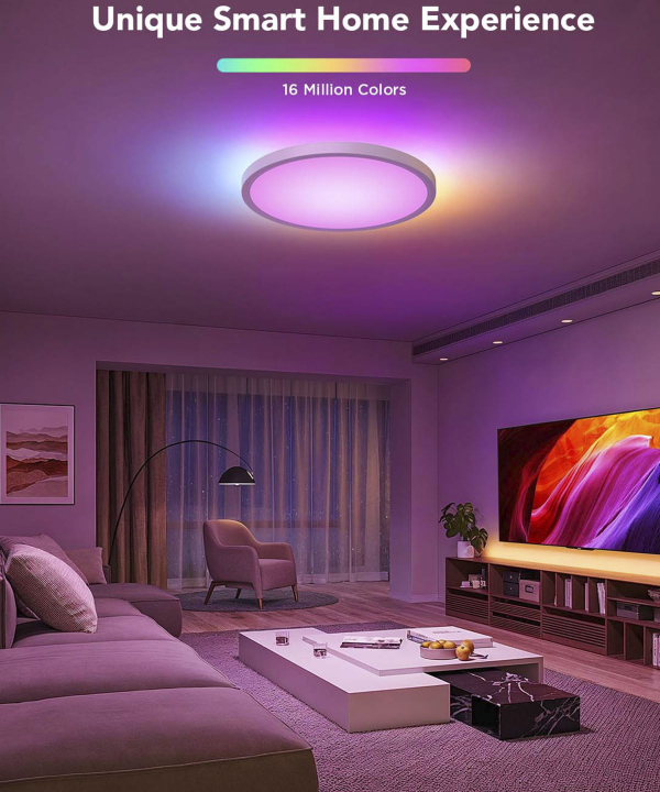 چراغ سقفي هوشمند 30 سانتي گووي Govee Smart Ceiling Light 1S H80A1