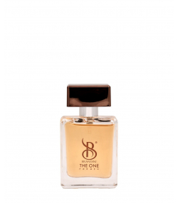 عطر جیبی مردانه برندینی Brandini مدل The One حجم 25 میلی لیتر
