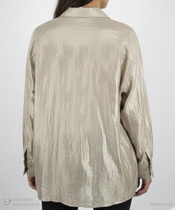 شوميز آستین بلند زنانه زیلان مدل 00220410214