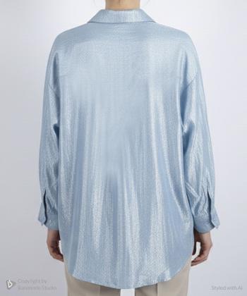 شوميز آستین بلند زنانه زیلان مدل 00220410214