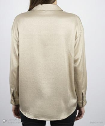 شوميز آستین بلند زنانه زیلان مدل 00220410190