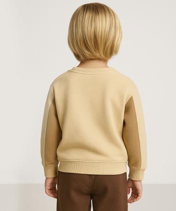 تیشرت آستین بلند پسرانه مندوست مدل 16305