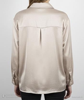 شوميز آستین بلند زنانه زیلان مدل 00220410193