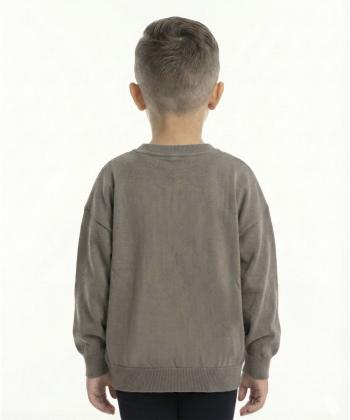 تيشرت آستين بلند پسرانه يو اس پولو كيدز كد 4014C3