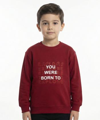 سويشرت پسرانه مرينو مدل 1853