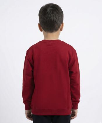 سويشرت پسرانه مرينو مدل 1853