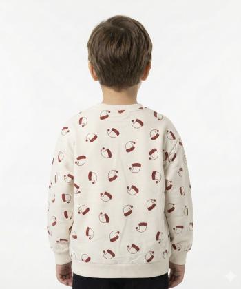 سويشرت پسرانه مرينو مدل 1850