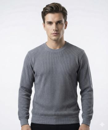 سويشرت مردانه جامه پوش آرا مدل 4561014156