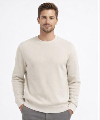 سويشرت مردانه جامه پوش آرا مدل 4561014156