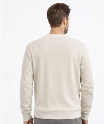 سويشرت مردانه جامه پوش آرا مدل 4561014156