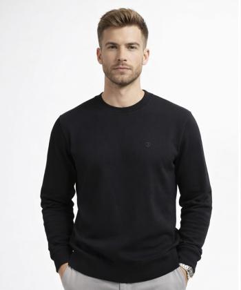 سويشرت مردانه جامه پوش آرا مدل 4561014156