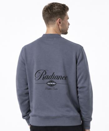 سويشرت مردانه جامه پوش آرا مدل 4561014214