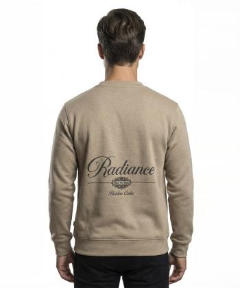 سويشرت مردانه جامه پوش آرا مدل 4561014214