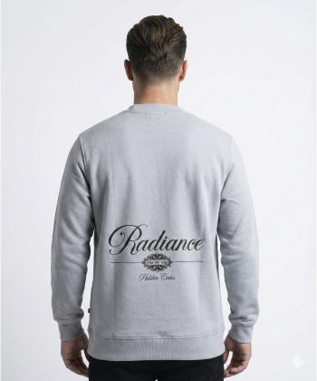 سويشرت مردانه جامه پوش آرا مدل 4561014214