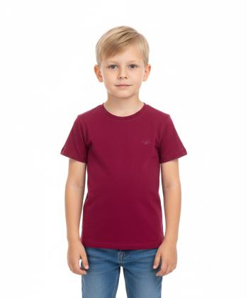 تیشرت آستین کوتاه پسرانه جوتی جینز مدل 31073902