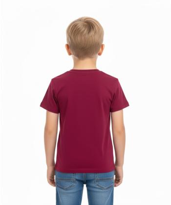 تیشرت آستین کوتاه پسرانه جوتی جینز مدل 31073902