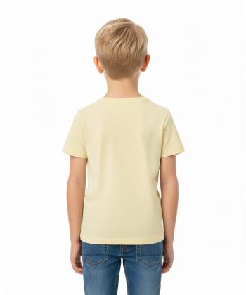 تیشرت آستین کوتاه پسرانه جوتی جینز مدل 31073902