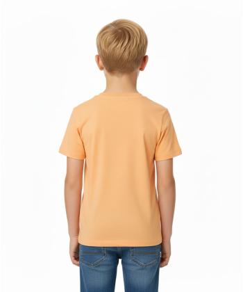 تیشرت آستین کوتاه پسرانه جوتی جینز مدل 31073902