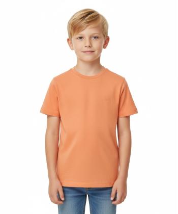 تیشرت آستین کوتاه پسرانه جوتی جینز مدل 31073902