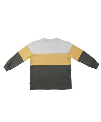 تيشرت آستين بلند پسرانه باني نو مدل 57051244