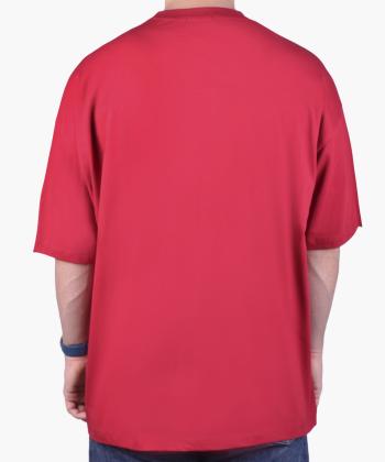 تيشرت مردانه هاليدي مدل D15004