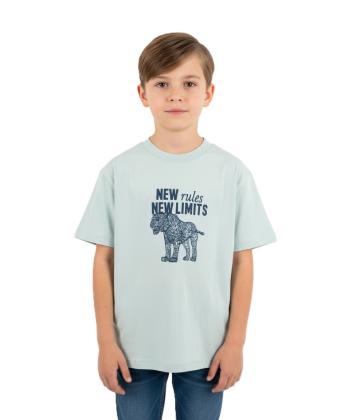 تيشرت آستين كوتاه پسرانه ال سي وايكيكي مدل S542126Z4