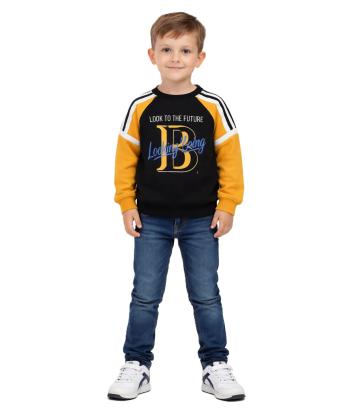 پلیور  پسرانه جین وست مدل 24571504