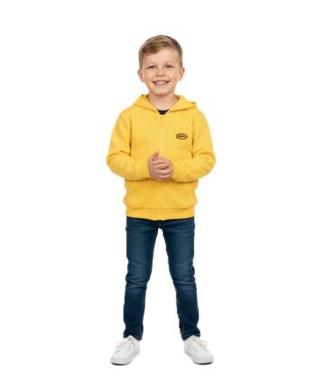 سویشرت  پسرانه جین وست مدل 31521501