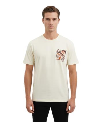 تيشرت آستين كوتاه مردانه ال سي وايكيكي مدل S570241Z8