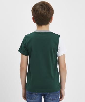 تیشرت آستین کوتاه پسرانه مادر مدل Alvin