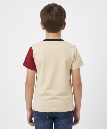 تیشرت آستین کوتاه پسرانه مادر مدل Alvin