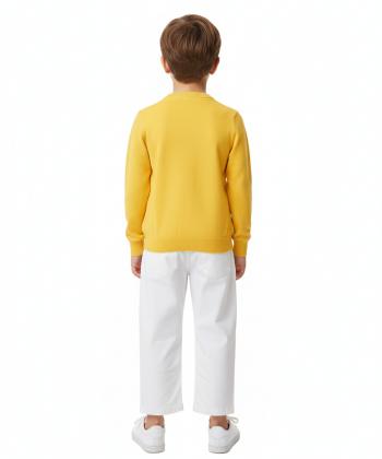 پلیور پسرانه جین وست مدل 23591501