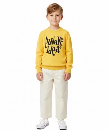 پلیور پسرانه جین وست مدل 23591501